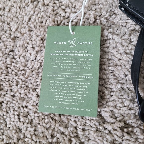 Organic Cactus Fossil Kier - Picture 6 of 16